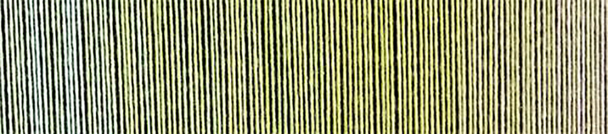 S1576 2341 - Zauberball Cotton «Junges Gemüse»