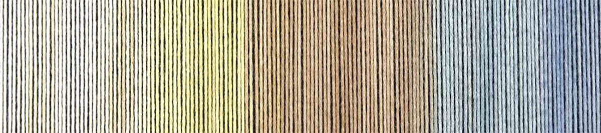 Zauberball Cotton «Feldversuch»